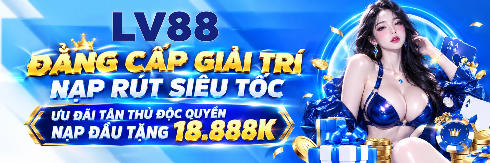 Banner LV88