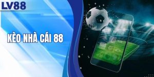 Kèo Nhà Cái 88 - Phân Tích Thông Số Soi Kèo Chuẩn Xác
